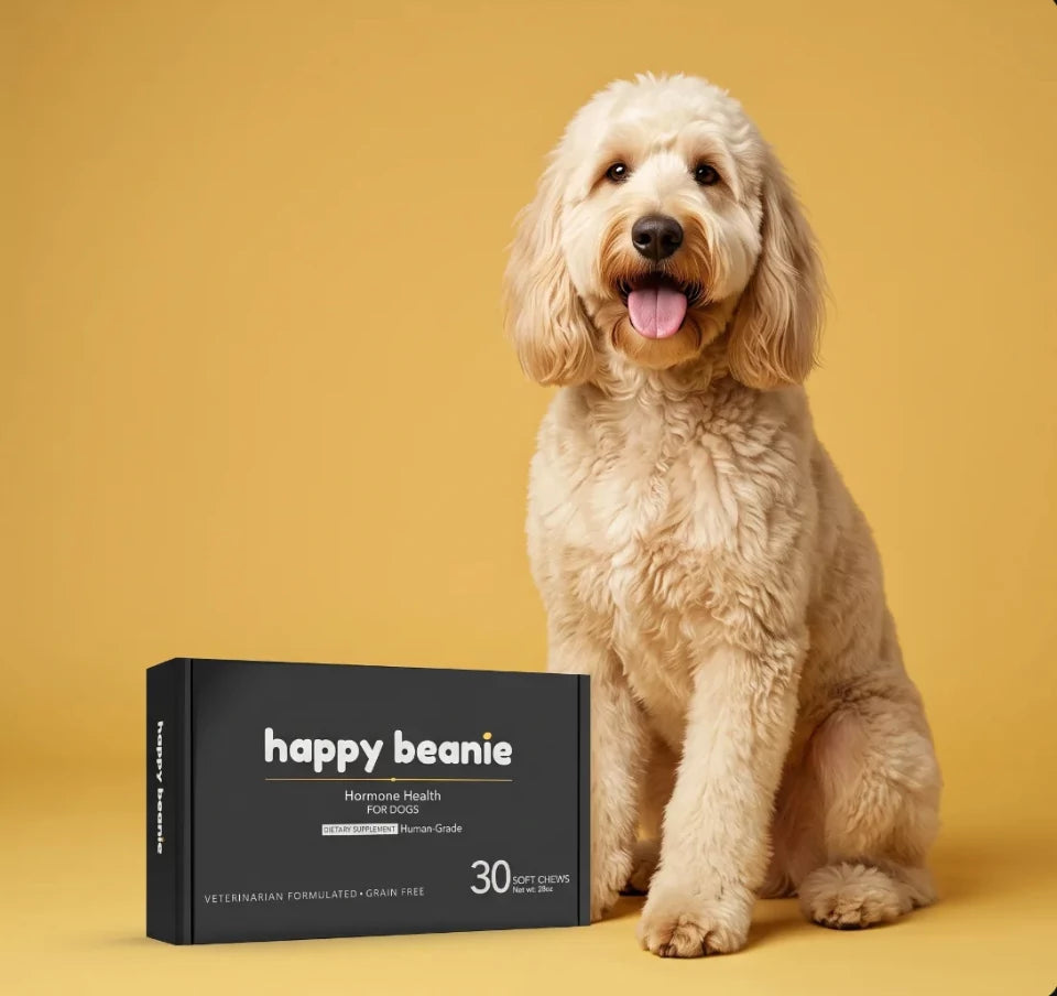 Happy Beans for Dogs — 30 soft chews box